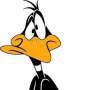 paja1's picture