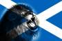 Saor Alba's picture
